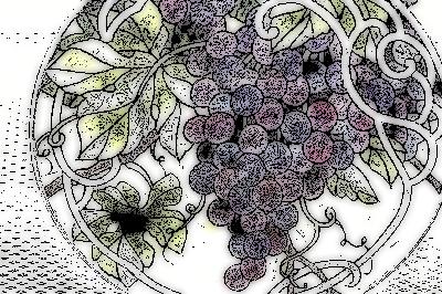 ポートフォリオ